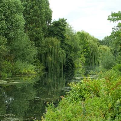 b体育官方下载入口手机版